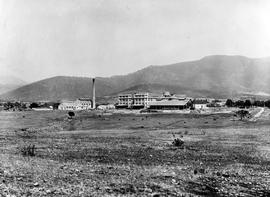 Cadbury Factory surrounded by fields