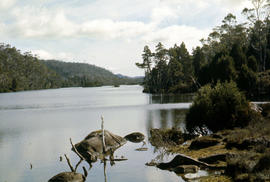 Shoreline of Cloister Lagoon