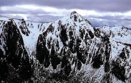 View of Reeds Peak