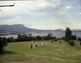 Ladies playing golf