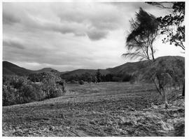 Clearing with hills in background