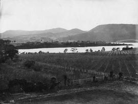 Orchard and Cadbury Factory