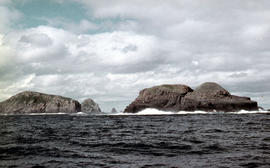 View of the Friars, off South Bruny Island