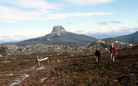 Walkers near Barn Bluff