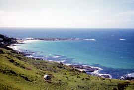 Shoreline at Boat Harbour, west of Wynyard