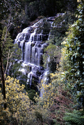 Signs at entrance to Mount Field National Park