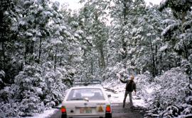 Snow near Tarraleah