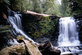 Horsehoe Falls