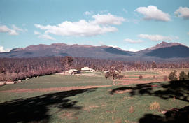 View of Ben Lomond