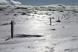 Plateau near summit of Ben Lomond