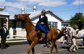 Horse riding at Evandale penny farthing races