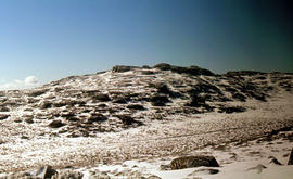 Piesse Vale on Ben Lomond plateau