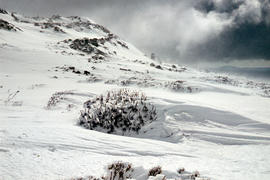 Aftermath of blizzard on Ben Lomond