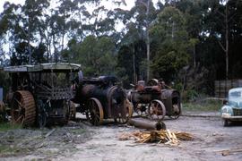 Bests yard Devonport 1959