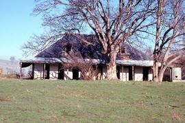 Trees overshadowing abandoned slate-roofed dwelling on Montacute property