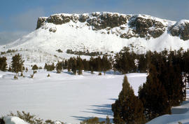 Pool of Siloam and the West Wall of Mount Jerusalem