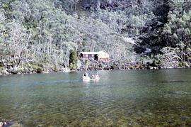 Moving firewood at Lake Dobson