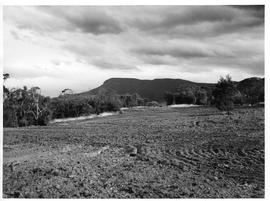 Large clearing, Mt. Wellington in background