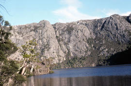 Pencil Pines on shore of Crater Lake