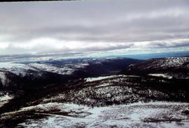 Wombat Moor from the air