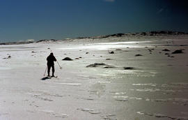 Skier at Piesse Vale