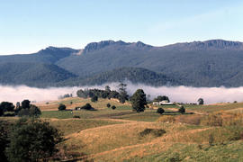 Fog in foothills of Ben Lomond