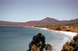 Adventure Bay from Coal Point 1960