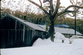 Hobart Walking Club hut