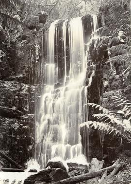 Men posing for camera at Silver Falls