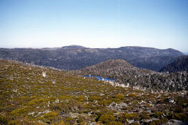 Overlooking Lake Newdegate