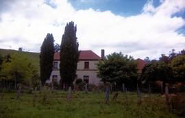 House behind poplar trees