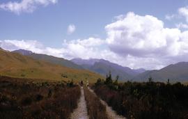 Crotty near Mount Lyell rail spur