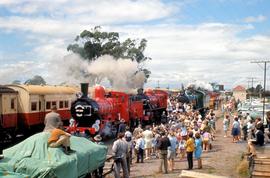 Crowd at Centenary Train, Westbury 1972