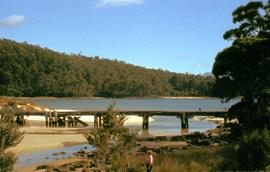 Timber bridge across creek