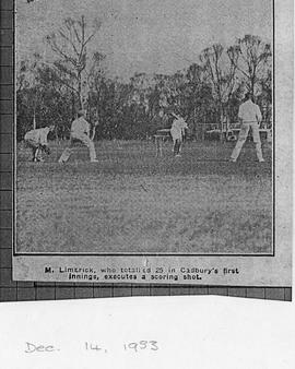 Cricket match