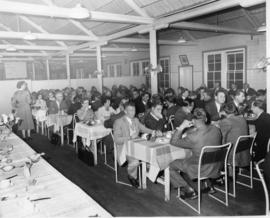 Staff attending dinner function