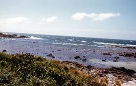 Rocky shore to west of Boat Harbour