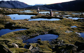 Resting at Newdegate Pass