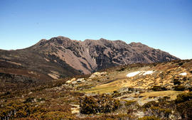 Florentine Peak under snow