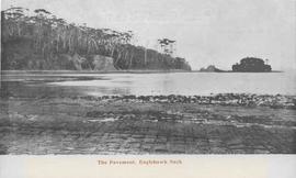 Tessellate Pavement, Eaglehawk Neck