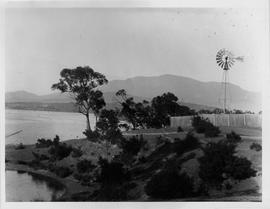 View of a Aermotor windmill