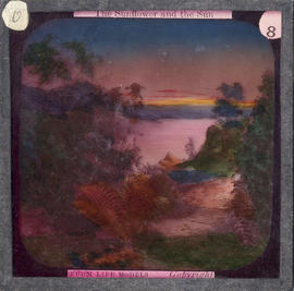 Lantern Slide No. 8