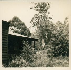 View outside gate