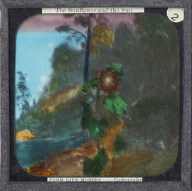 Lantern Slide No. 2