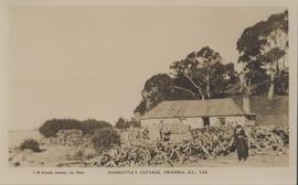 Harbottle's  cottage at Swansea