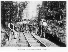 View of the rail (tram) terminus at Comstock, near Zeehan, Tasmania