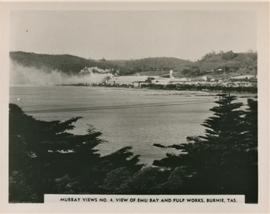 Emu Bay and pulp works, Burnie