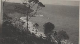 East  Coast,  view  from  Rocky  Hills  looking  north