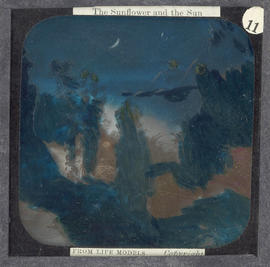 Lantern Slide No. 11