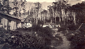 Group at Woods Huts, Mt Wellington